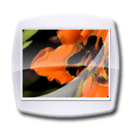 PSD Cube